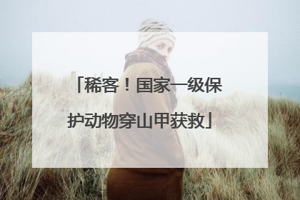 稀客！国家一级保护动物穿山甲获救
