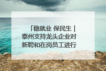 稳就业 保民生｜泰州支持龙头企业对新聘和在岗员工进行实训——到岗就能用 用了就见效