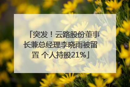 突发！云路股份董事长兼总经理李晓雨被留置 个人持股21%