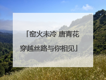 窑火未冷 唐青花穿越丝路与你相见
