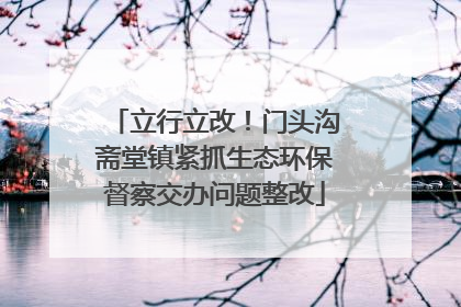 立行立改！门头沟斋堂镇紧抓生态环保督察交办问题整改