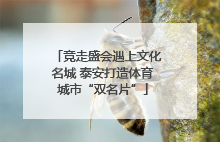 竞走盛会遇上文化名城 泰安打造体育城市“双名片”