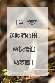童“葵”送暖润心田 两校情谊助梦圆
