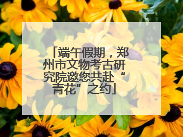 端午假期，郑州市文物考古研究院邀您共赴“青花”之约