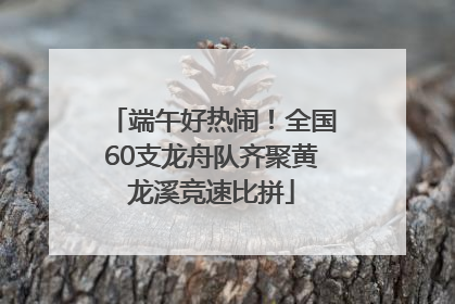 端午好热闹！全国60支龙舟队齐聚黄龙溪竞速比拼