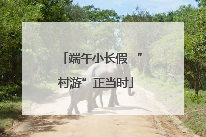 端午小长假 “村游”正当时