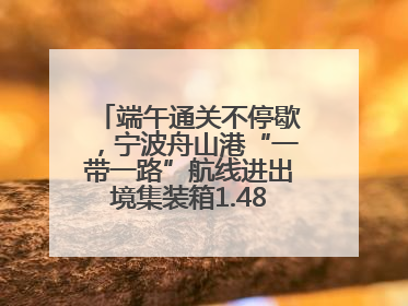 端午通关不停歇，宁波舟山港“一带一路”航线进出境集装箱1.48万标箱