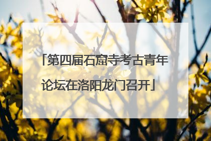 第四届石窟寺考古青年论坛在洛阳龙门召开