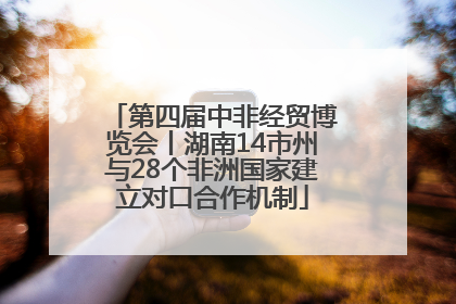 第四届中非经贸博览会丨湖南14市州与28个非洲国家建立对口合作机制