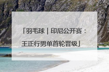 羽毛球｜印尼公开赛：王正行男单首轮晋级