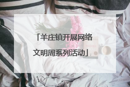 羊庄镇开展网络文明周系列活动