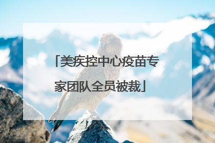 美疾控中心疫苗专家团队全员被裁