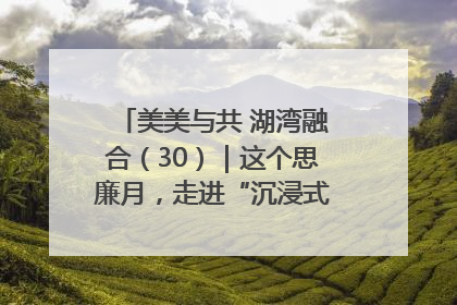 美美与共 湖湾融合（30）｜这个思廉月，走进“沉浸式”清风课堂