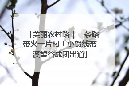 美丽农村路｜一条路带火一片村！小贺线带溪望谷成团出道