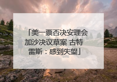 美一票否决安理会加沙决议草案 古特雷斯：感到失望