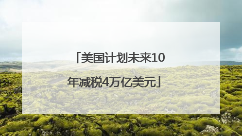 美国计划未来10年减税4万亿美元