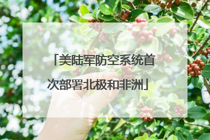 美陆军防空系统首次部署北极和非洲