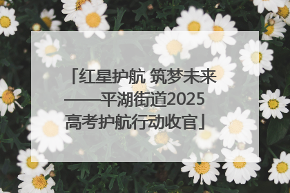 红星护航 筑梦未来——平湖街道2025高考护航行动收官
