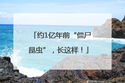 约1亿年前“僵尸昆虫”，长这样！