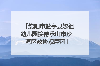 绵阳市盐亭县嫘祖幼儿园接待乐山市沙湾区政协观摩团