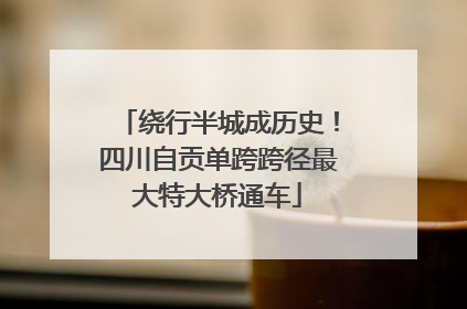 绕行半城成历史！四川自贡单跨跨径最大特大桥通车