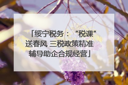 绥宁税务：“税课”送春风 三税政策精准辅导助企合规经营