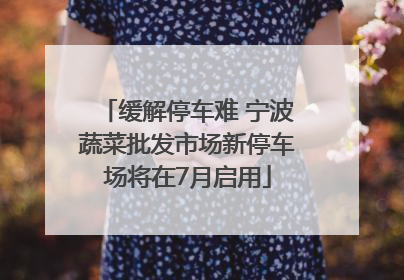 缓解停车难 宁波蔬菜批发市场新停车场将在7月启用