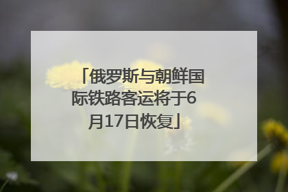 俄罗斯与朝鲜国际铁路客运将于6月17日恢复