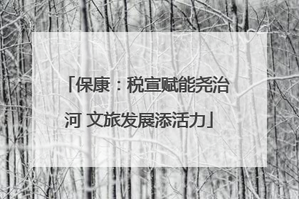保康：税宣赋能尧治河 文旅发展添活力