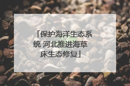 保护海洋生态系统 河北推进海草床生态修复
