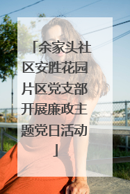 余家头社区安胜花园片区党支部开展廉政主题党日活动