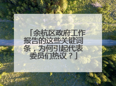 余杭区政府工作报告的这些关键词条，为何引起代表委员们热议？