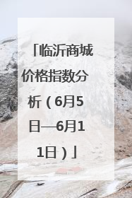 临沂商城价格指数分析（6月5日—6月11日）