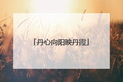 丹心向阳映丹霞