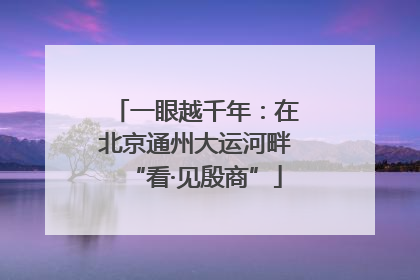 一眼越千年：在北京通州大运河畔“看·见殷商”