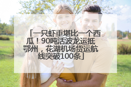 一只虾重堪比一个西瓜！90吨活波龙运抵鄂州，花湖机场货运航线突破100条
