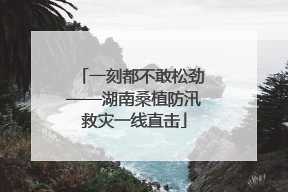一刻都不敢松劲——湖南桑植防汛救灾一线直击