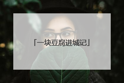 一块豆腐进城记