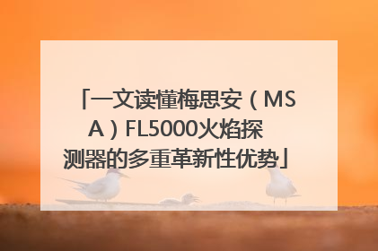 一文读懂梅思安（MSA）FL5000火焰探测器的多重革新性优势