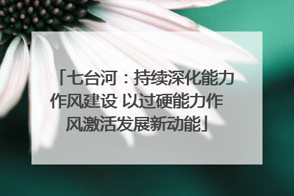 七台河：持续深化能力作风建设 以过硬能力作风激活发展新动能