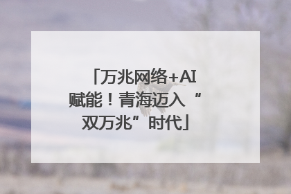 万兆网络+AI赋能！青海迈入“双万兆”时代