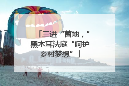 三进“菌地，”黑木耳法庭“呵护乡村梦想”