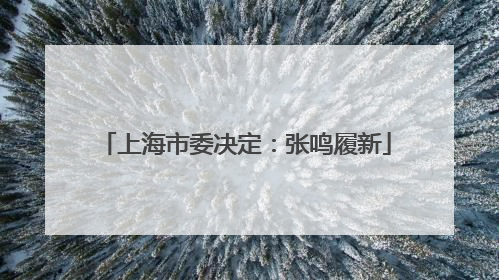 上海市委决定：张鸣履新