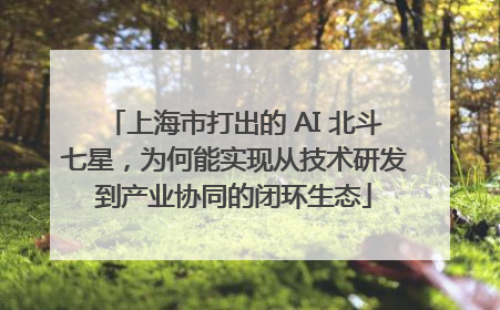 上海市打出的 AI 北斗七星，为何能实现从技术研发到产业协同的闭环生态