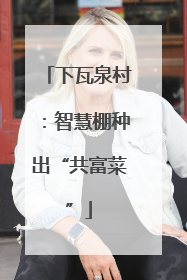 下瓦泉村：智慧棚种出“共富菜”