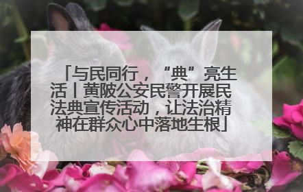 与民同行，“典”亮生活丨黄陂公安民警开展民法典宣传活动，让法治精神在群众心中落地生根
