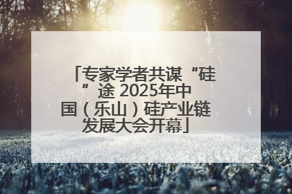 专家学者共谋“硅”途 2025年中国（乐山）硅产业链发展大会开幕