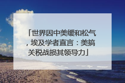 世界因中美缓和松气，埃及学者直言：美搞关税战损其领导力