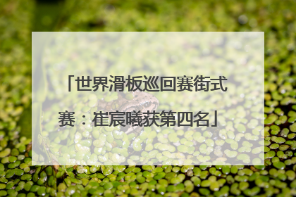 世界滑板巡回赛街式赛:崔宸曦获第四名