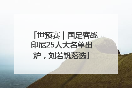 世预赛｜国足客战印尼25人大名单出炉，刘若钒落选